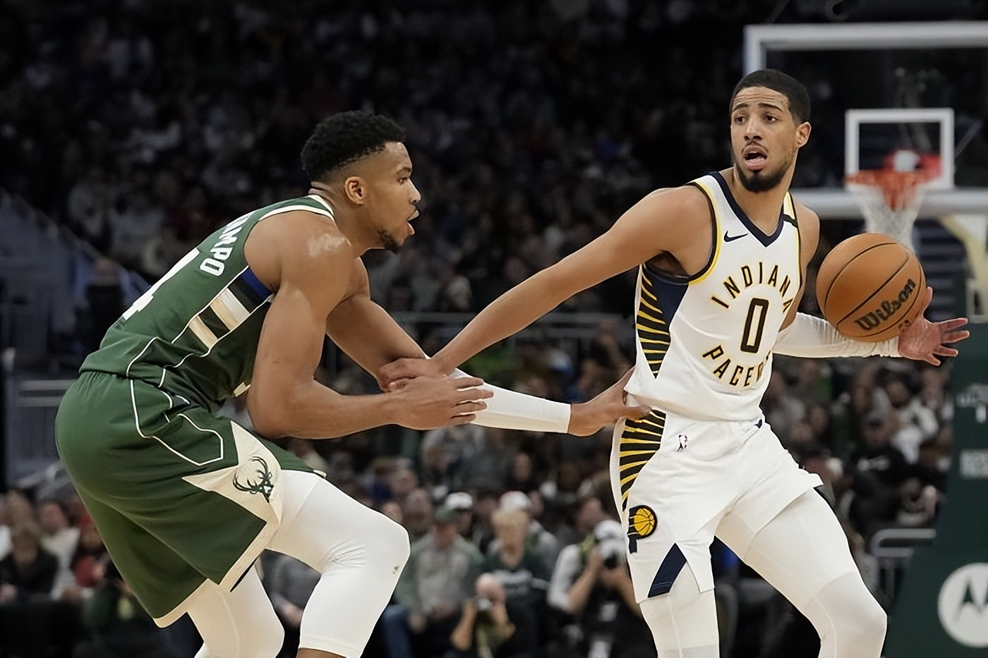 hth官网德甲倒计时，密尔沃基雄鹿窗口期远射贴柱，细节引发关注，信心回归，临场指挥获称赞的简单介绍